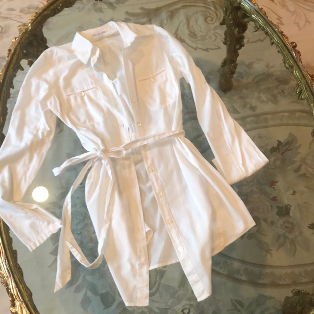 James Perse Button Down